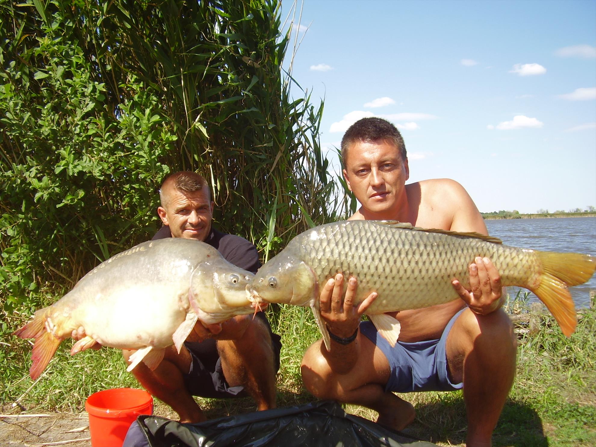 Alejandro Carp Team - Ohat Ungaria 2013 - p5060012.JPG